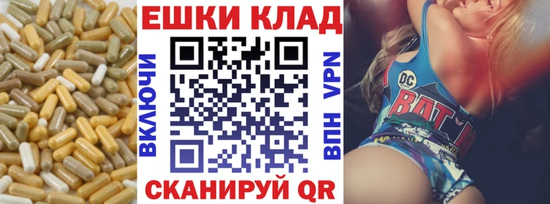 закладки  Михайловка  Экстази Philipp Plein 