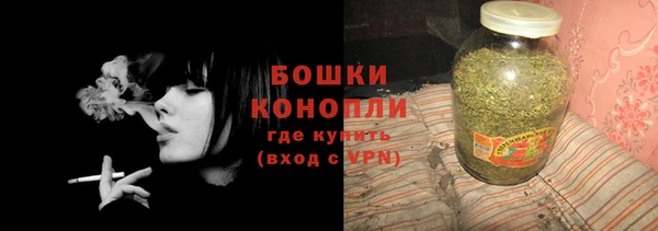дурь Краснослободск