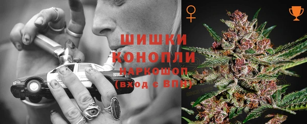 дурь Краснослободск