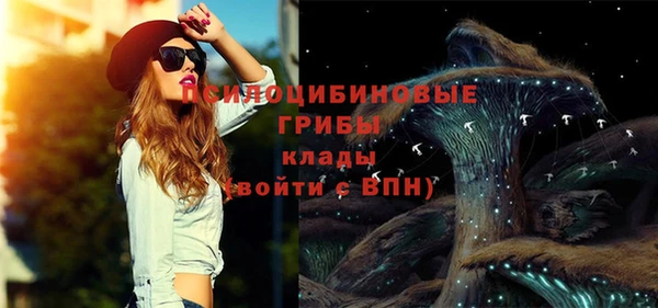 гидропоника Кулебаки