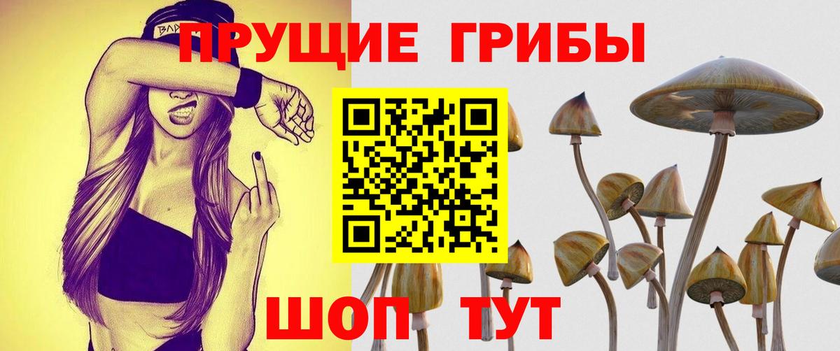 Михайловка  Псилоцибиновые грибы мухоморы  Вход с VPN 