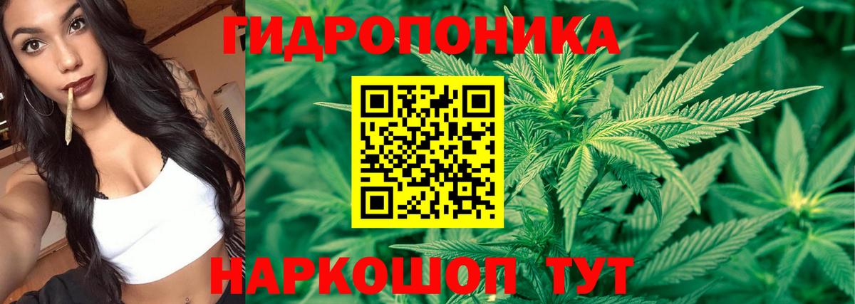 Бошки марихуана MAZAR  Канабис гибрид  Вход с VPN  Михайловка  Бошки Шишки план 